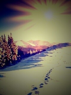 Холодные лучи зимнего солнца обои