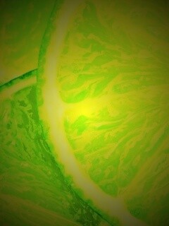 Дольки лайма обои