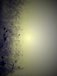 Фон с красивым черным узором обои