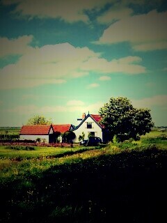 дом на лугу обои