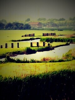 Пригород обои