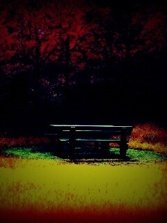 Осенние краски обои