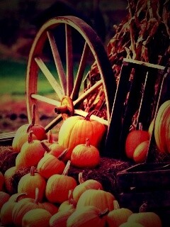 Урожай обои