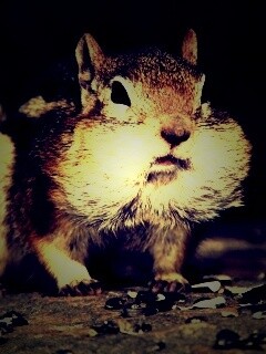 Не жадный, а бережливый обои