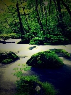 Лесная река обои