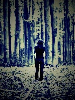 Одна в лесу обои