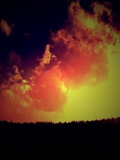 Закат над лесом обои