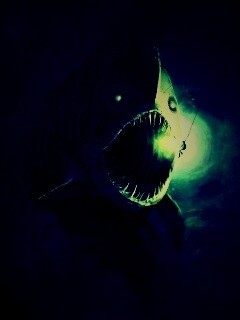 Огромная рыбина обои