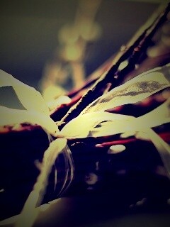 Букет вербы обои