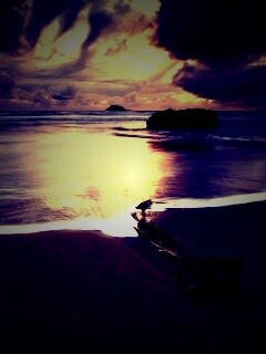 Коряга на пляже обои