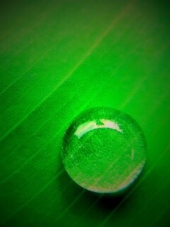 Одна капля обои