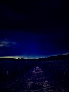 Поле ночью обои