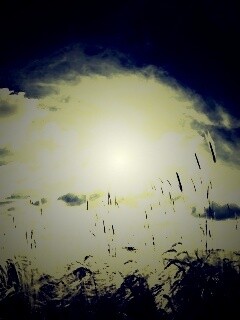 Сюрреалистичная трава обои