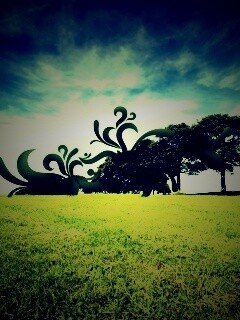 На равнине обои