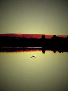 Утиное озеро обои