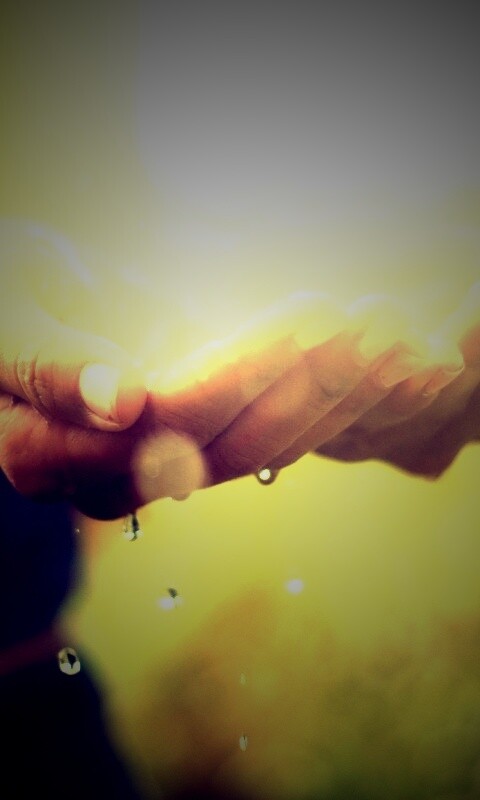 Дождь в ладонях обои