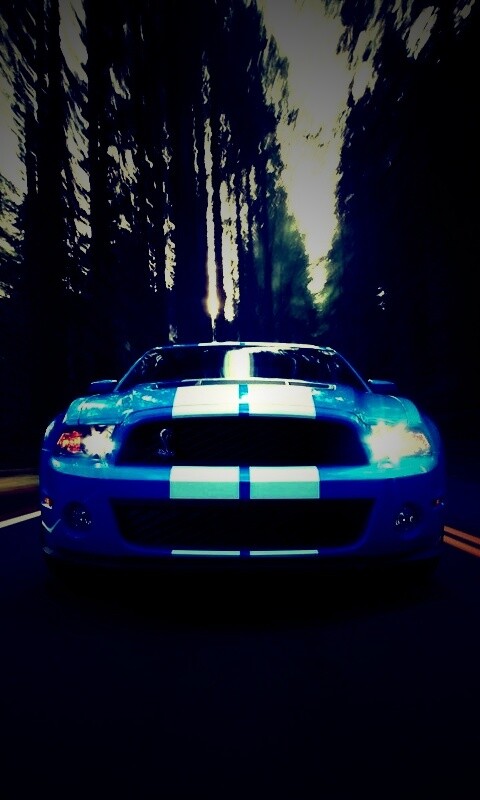 Форд Шелби обои