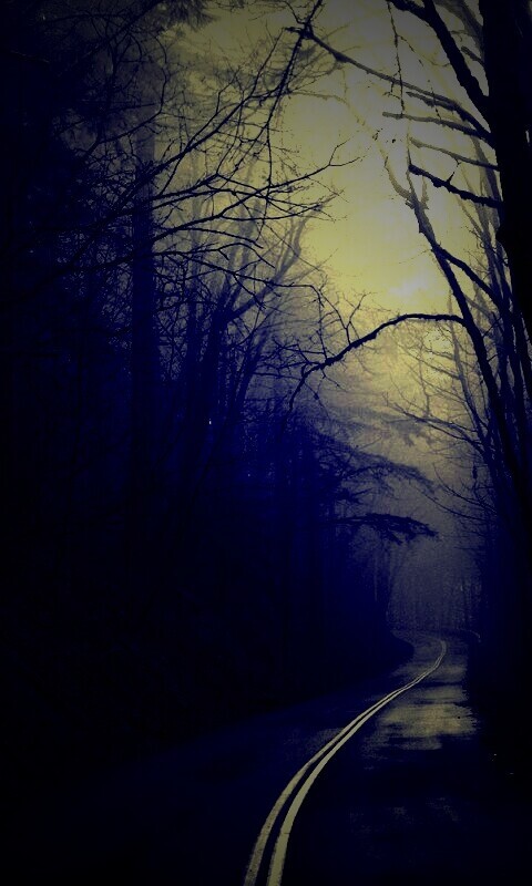 В туман обои