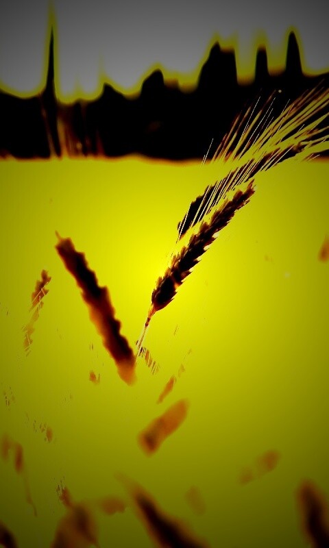 Пшеничное поле обои