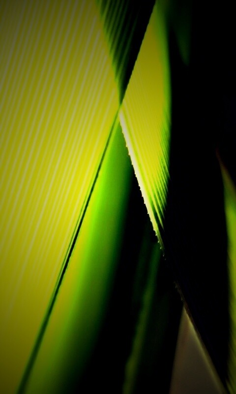 Травинки на свету обои