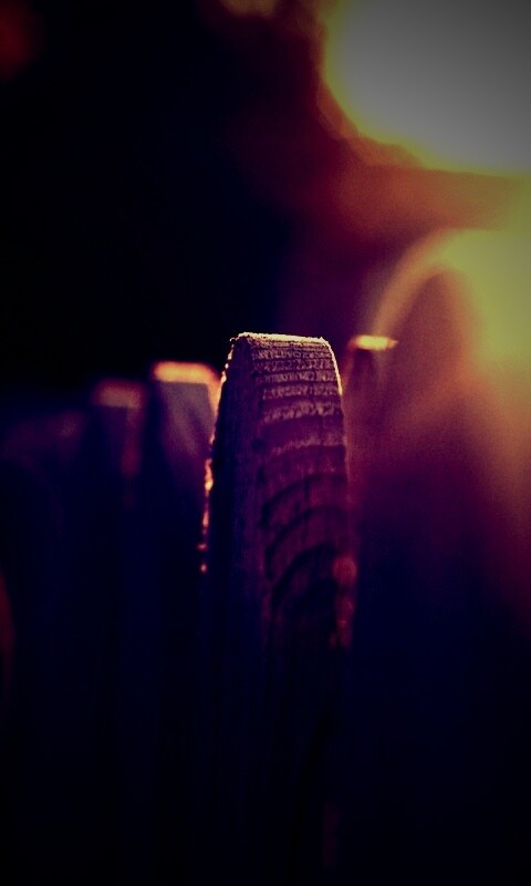 Деревянный забо обои