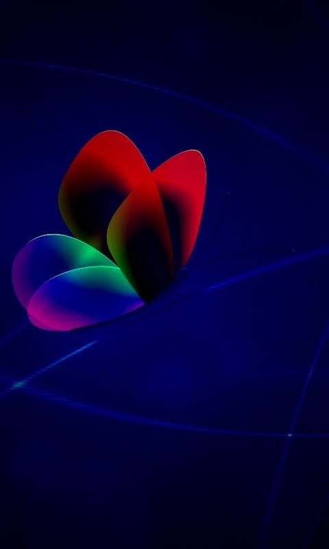 Бабочка с радужными крыльями обои