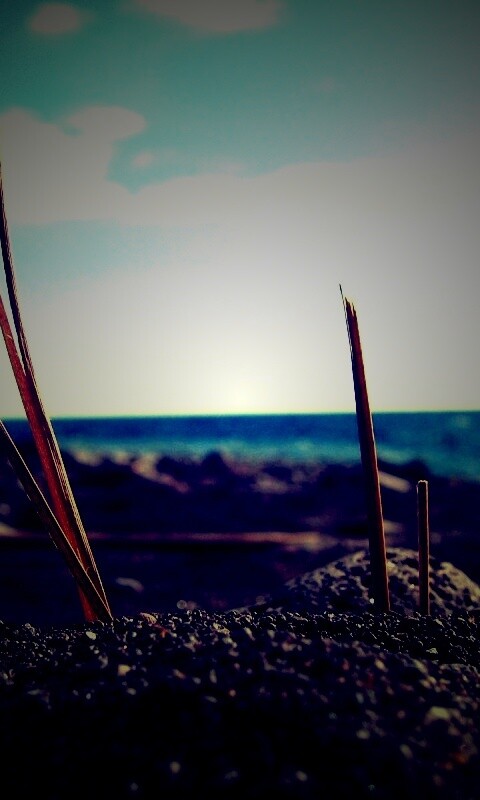 Солома на океанском берегу обои