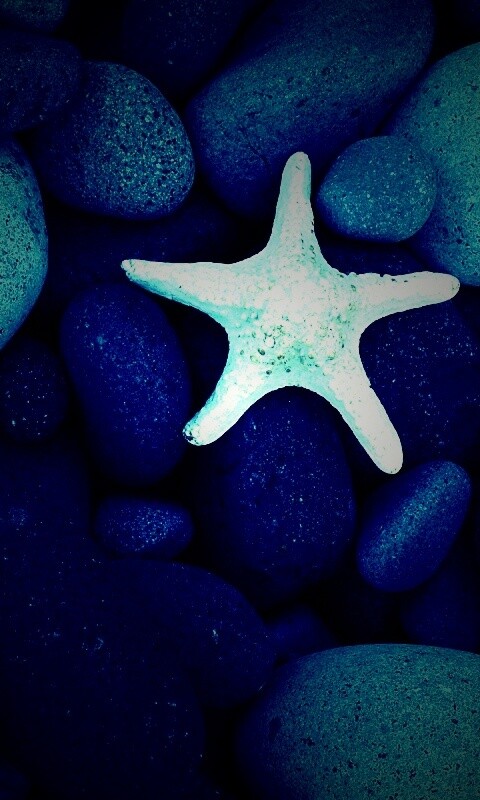 Звезда на морской гальке обои