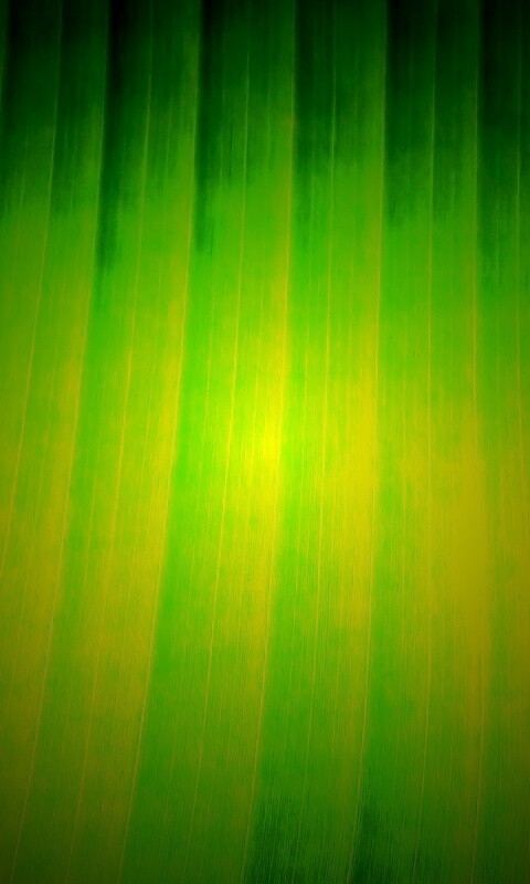 Травяные полосы обои