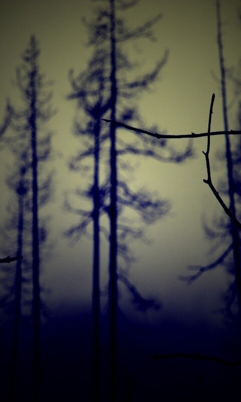 Безысходность обои