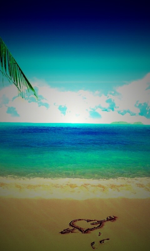 Любовь на океанском берегу обои