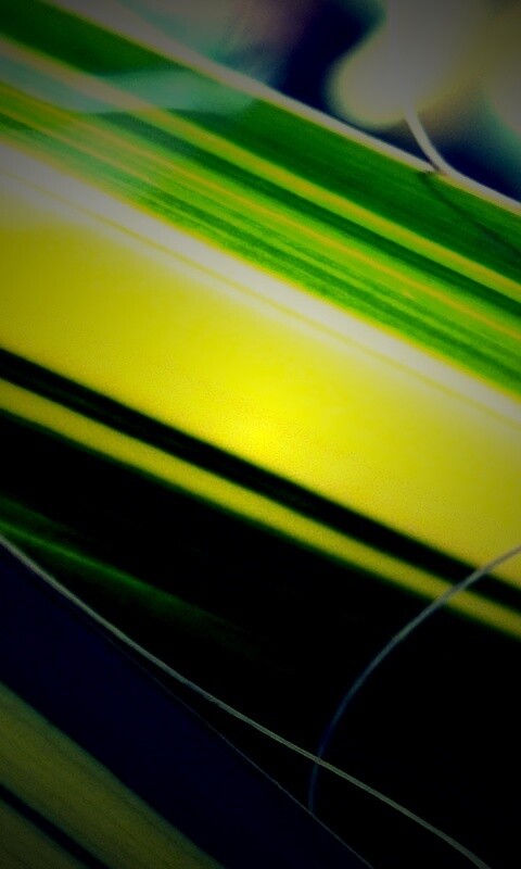 Желто-зеленые травинки обои