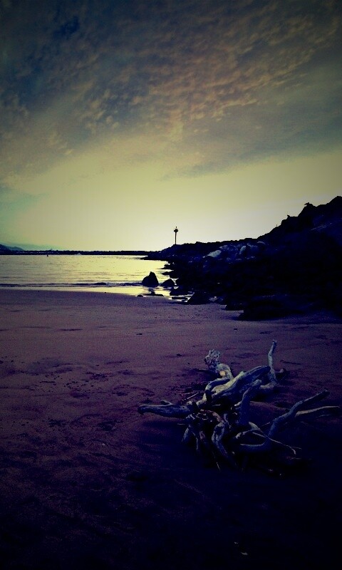 Коряга не берегу обои