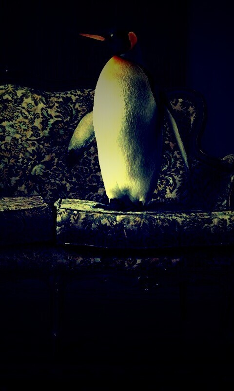 Соседи по дивану обои