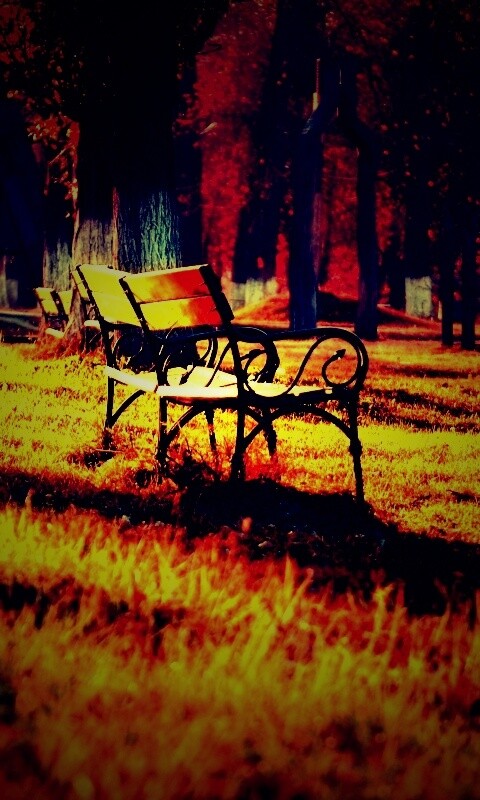 Скаймейка в осеннем парке обои