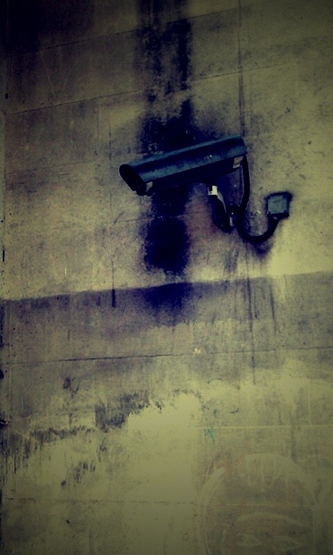 На что ты смотришь? обои