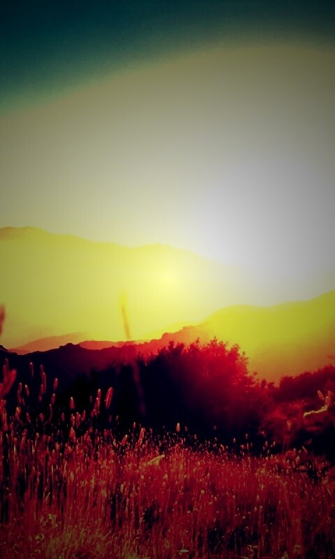 Восход над холмами обои