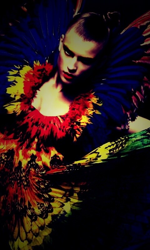 Костюм жар птицы обои