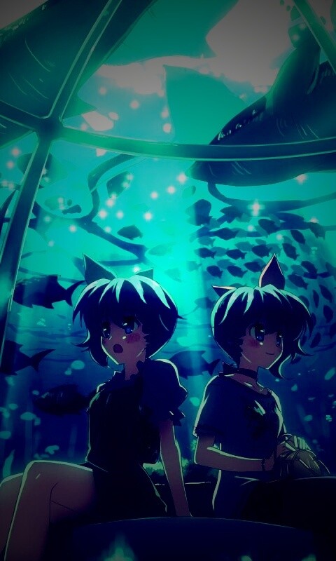 В океанариуме обои