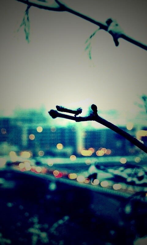 Зима в городе обои