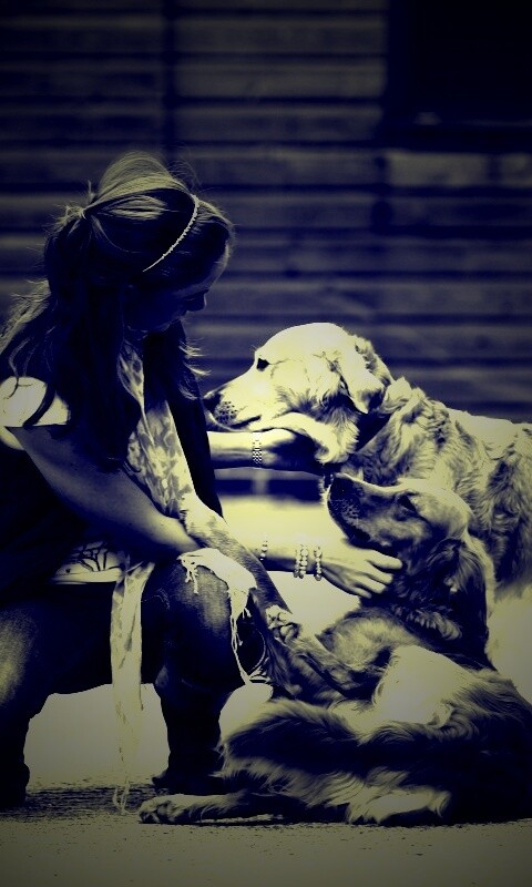 Девушка с собаками обои