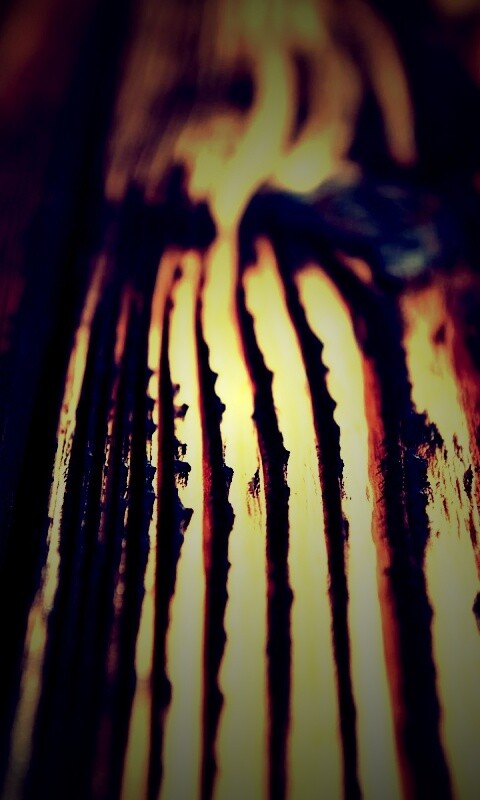 Рельефная доска обои