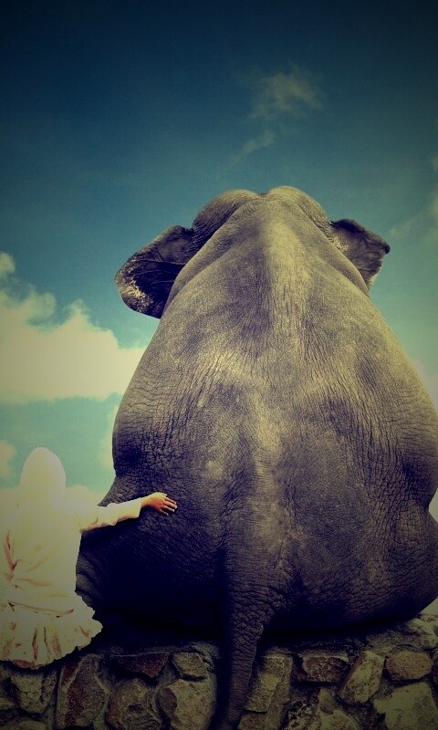 Девочка и слон обои