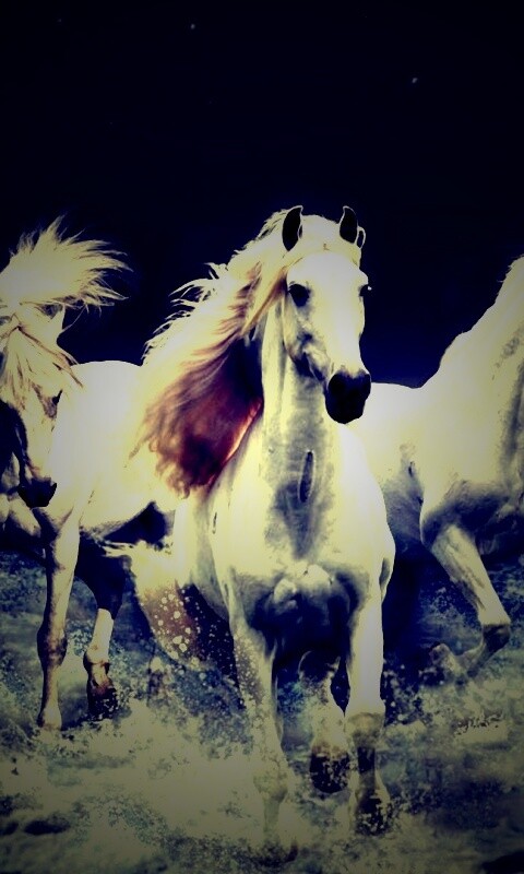 Тройка конец в море обои