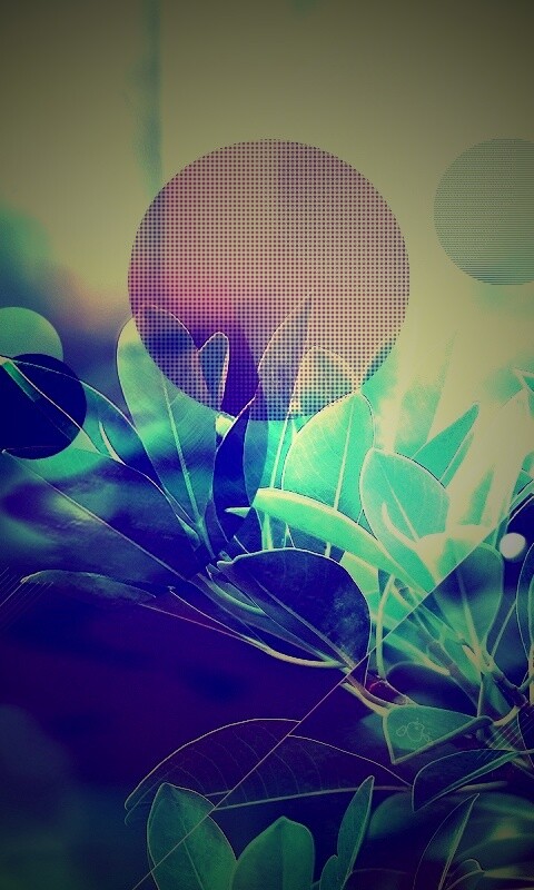 Синий фильтр с кргуами на фото листьев обои