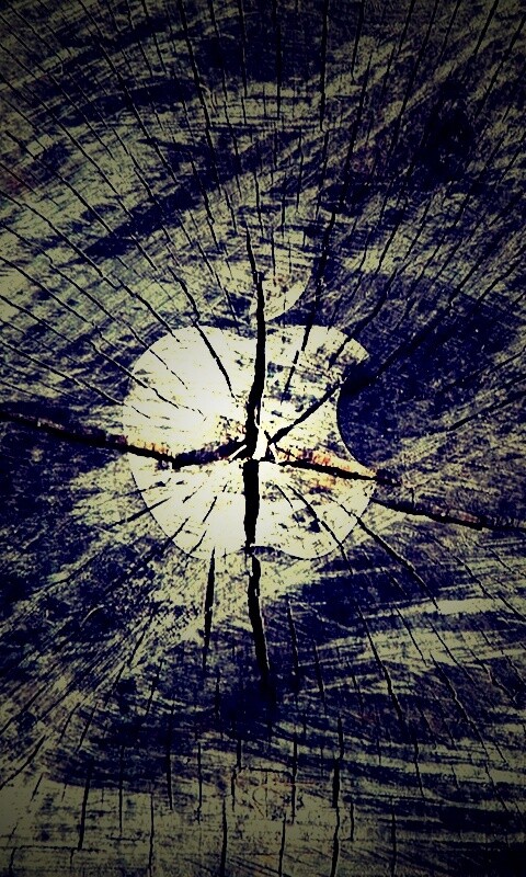 Логотип Apple на бревне обои