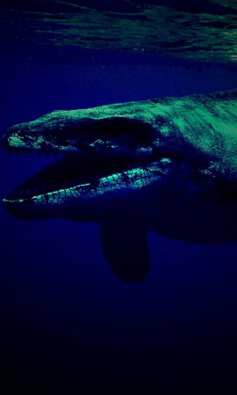 Морской динозавр обои