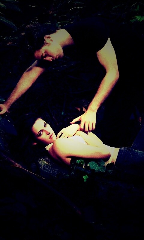 Эдвард и Белла в лесу обои