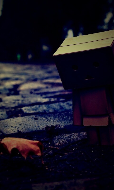 Danbo и первый осенний лист обои