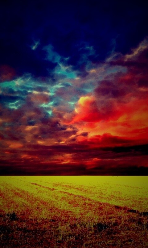 Тучи над желтым полем обои